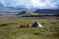 15 Nomad Tent On Tingri Plain With Tingri Village Behind.jpg